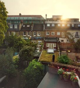 Can a neighbour’s tree cause subsidence to your property?