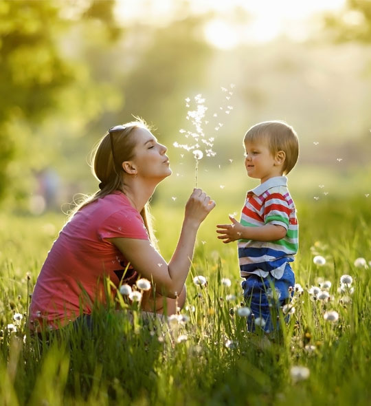 family law wishes