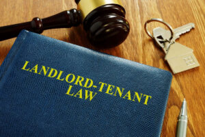 Renters-Reform-Bill-Article